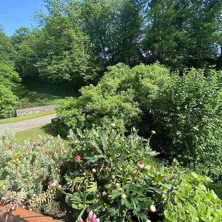 Im Brohlbachtal דירה